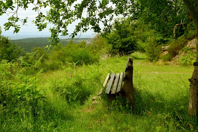 形勢正合其 形勢正合其