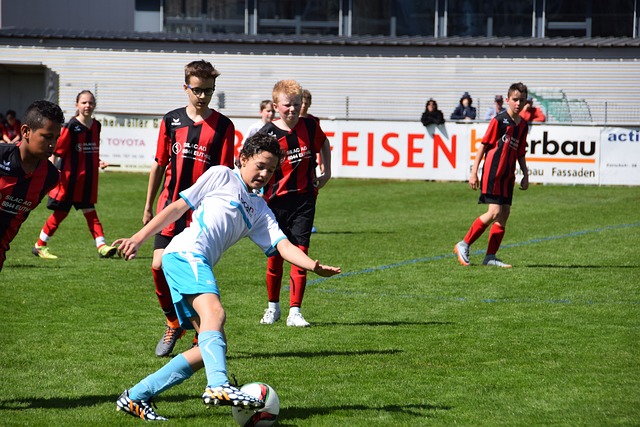 赛的比拼 赛的比拼