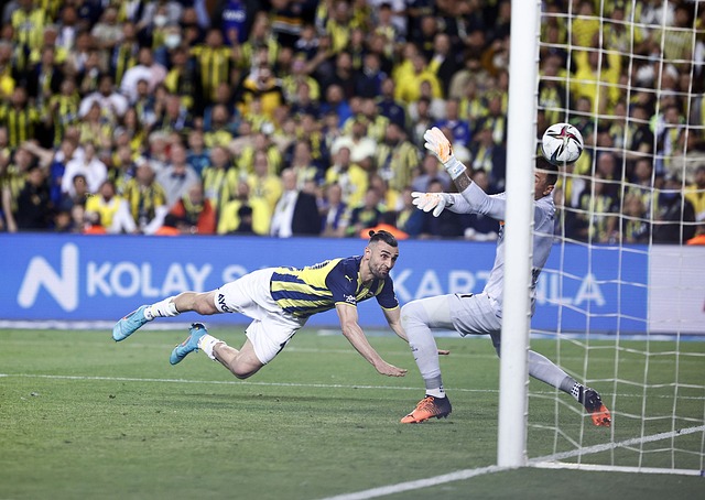 展年轻球员 展年轻球员