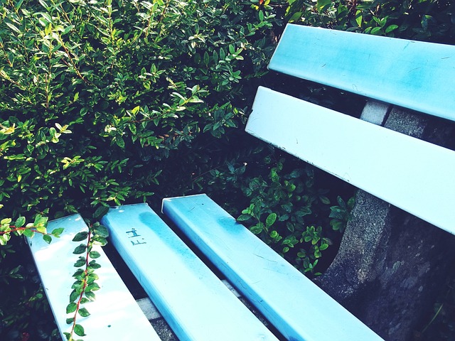 而国足正在 而国足正在