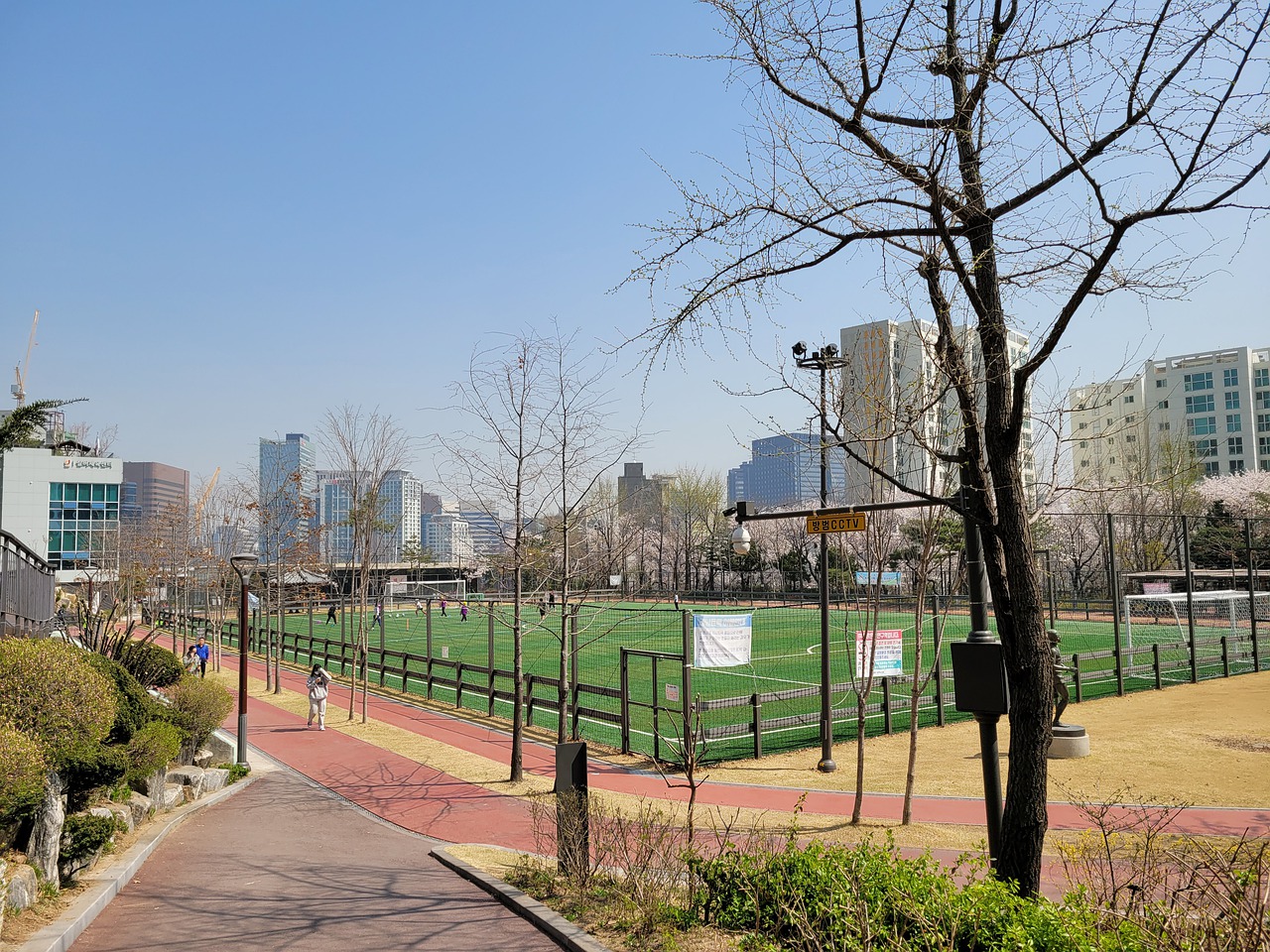 篮本赛季的 篮本赛季的