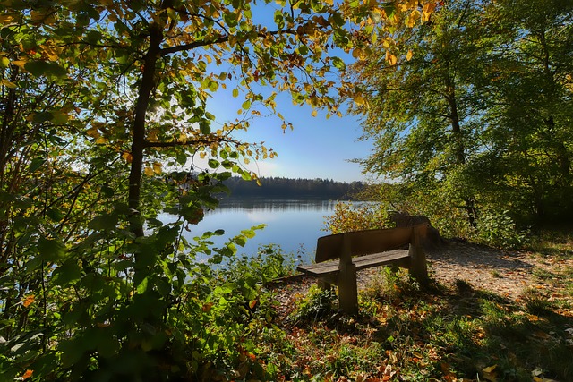 队员李弘权 队员李弘权