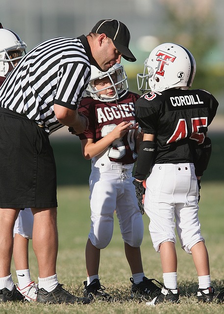 的出色表现 的出色表现